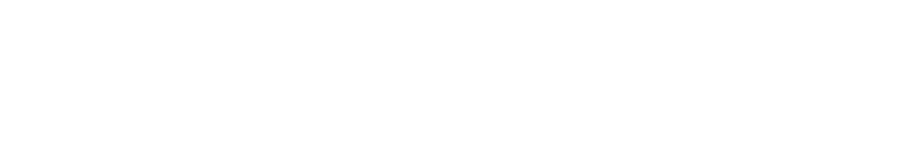 Chasin & Slidin Performance Horses
