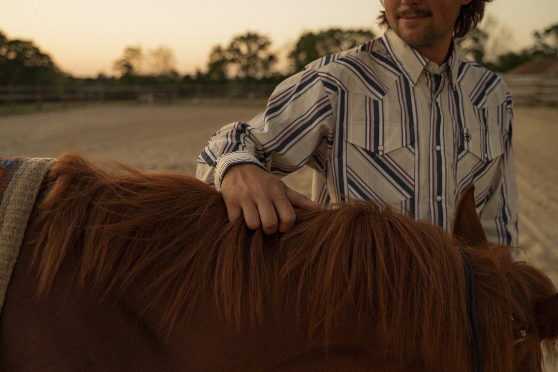 Hand on a horse at golden hour