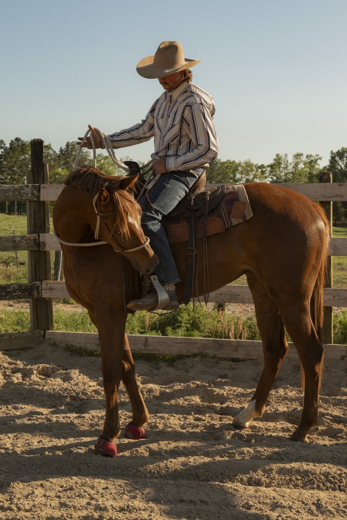 Riding a colt in the arena