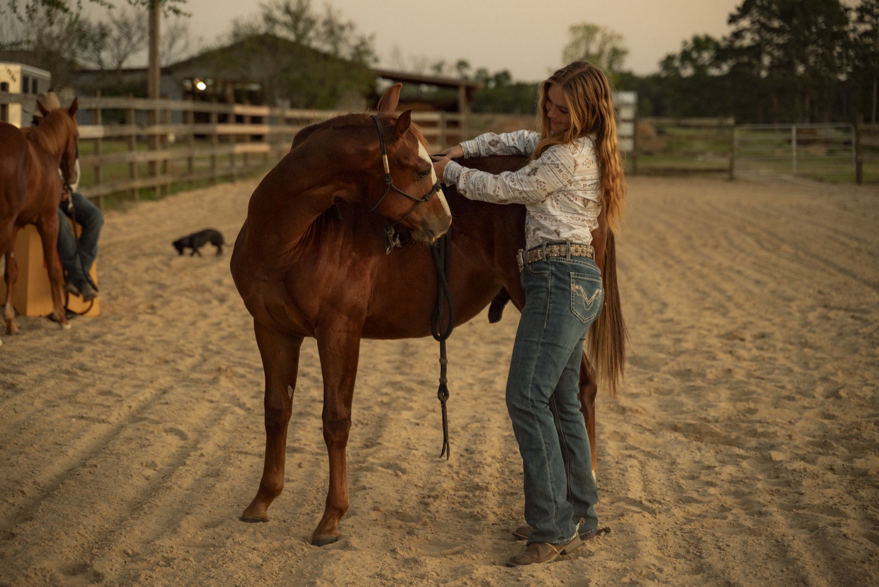 Saddling up at golden hour